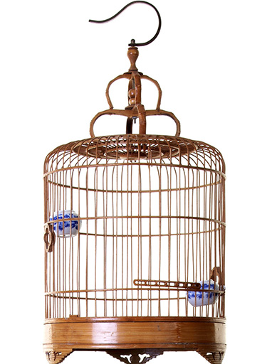 chinese-bird-bamboo-bird-cage