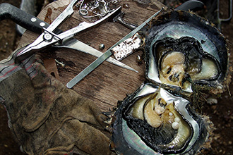 Tools of The Pearl Trade with Pearls in Osyter Shell